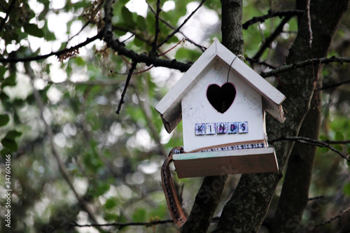 Casa para p  jaros en el bosque