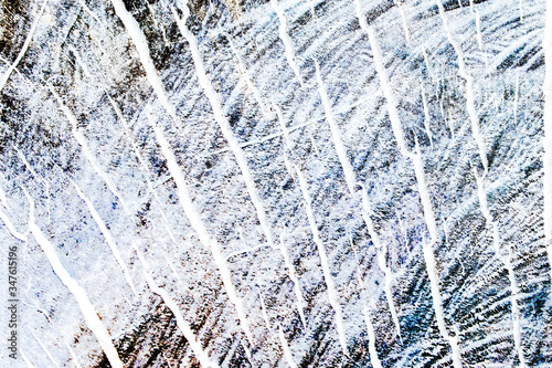 Old tinted cross-section of a tree. Abstract gray grunge background. Wood texture.