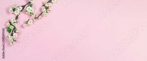 beautiful spring flowers at pink background.frame composition © Bugaev