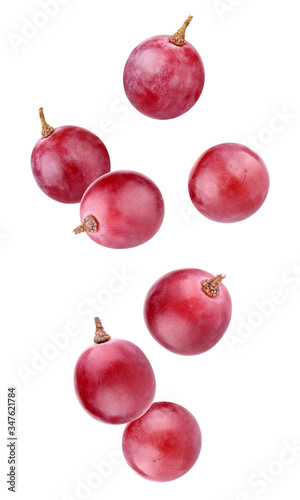red falling grapes isolated on a white background with clipping path.