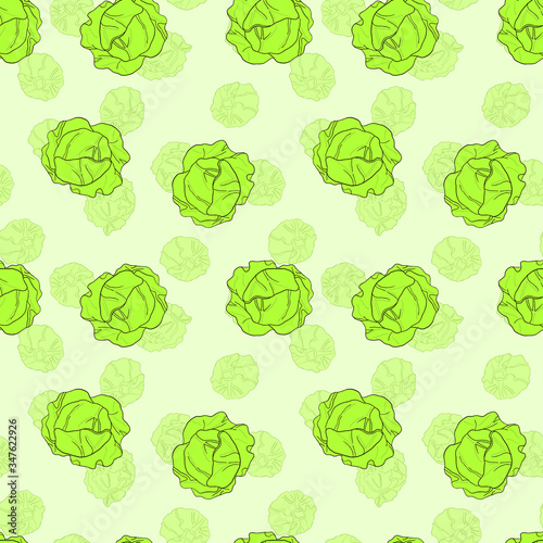 Seamless colorful hand drawn vector cabbage pattern texture. Organic vegetarian product. Vector for design packaging, wrapping, background, banner, poster, notebook, print.