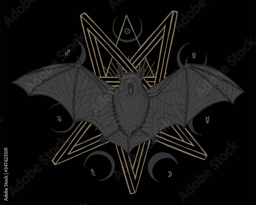 Bat occult print with seven pointed star and moon shapes on background - wicca t-shirt.