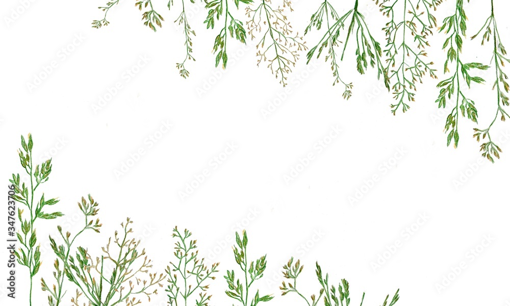 Watercolor pattern of wild herbs for a wedding card on a white background. Minimalistic holiday card design. Frame to save a memorable date.