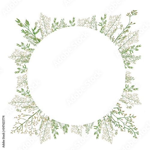 Watercolor pattern of wild herbs for a wedding card on a white background. Minimalistic holiday card design. Frame to save a memorable date.