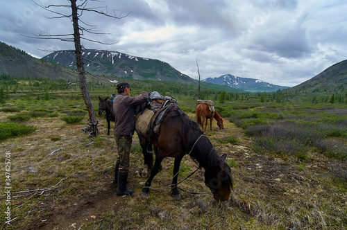 Riding a horse. A rider saddles a horse surrounded by wildlife. © Anna
