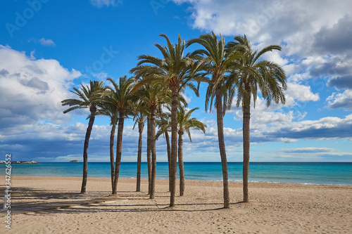 Palm trees on the beach against the background of the sea and blue sky with beautiful clouds in the sun. Villajoyosa  Spain