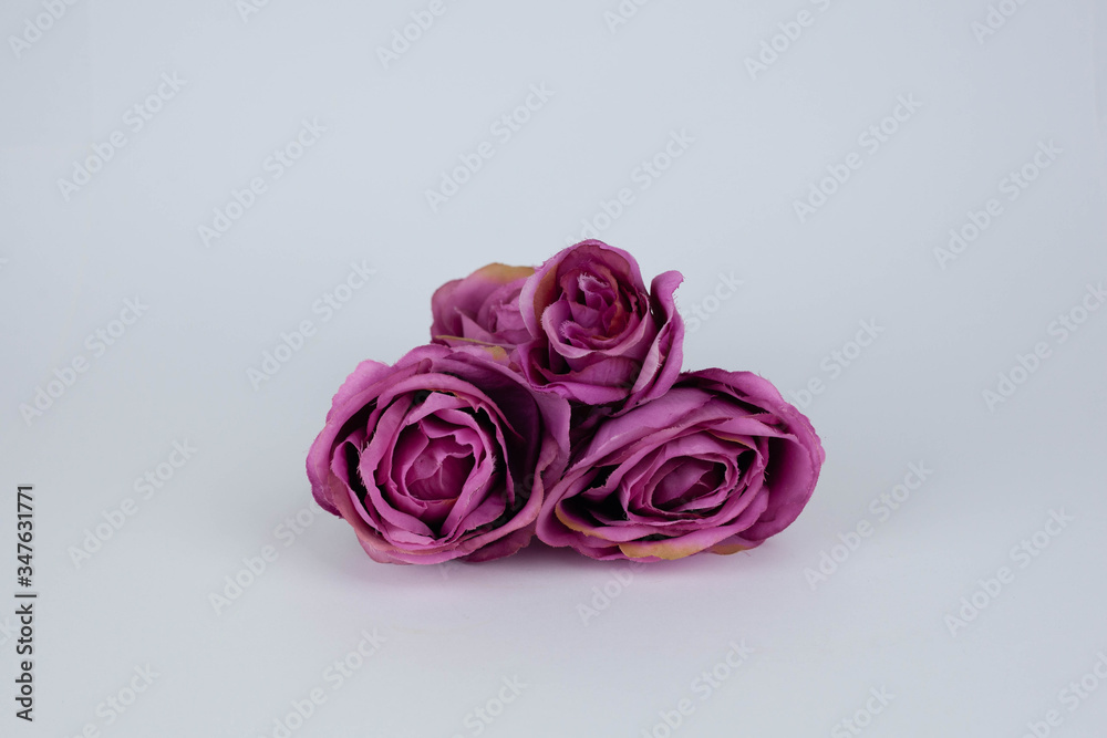bouquet of pink roses bouquet of pink roses