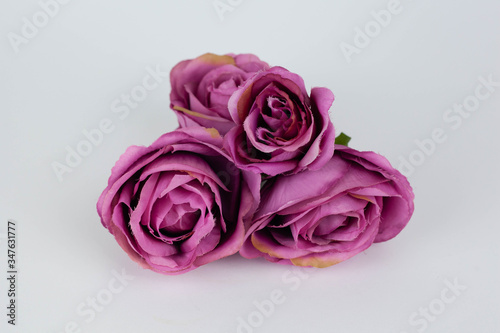 bouquet of pink roses