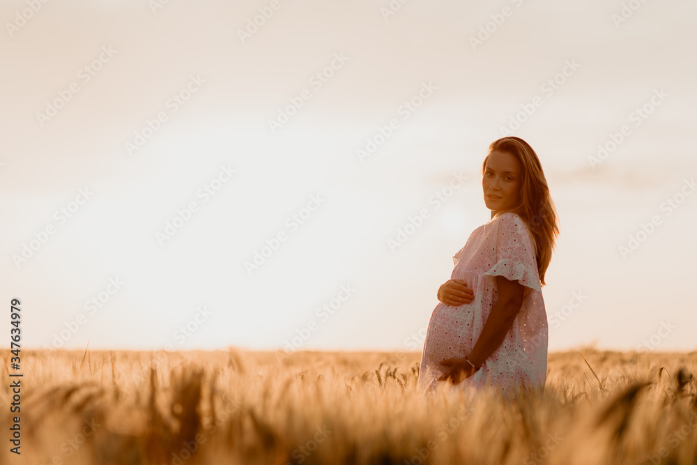 Young beautiful pregnant woman looking to the side and touching her belly in the wheat orange field on a sunny summer day. Nature in the country. Miracle expectation. Sunset on isolation. Copy Space