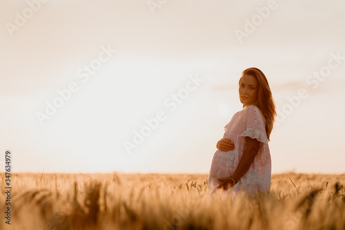 Young beautiful pregnant woman looking to the side and touching her belly in the wheat orange field on a sunny summer day. Nature in the country. Miracle expectation. Sunset on isolation. Copy Space