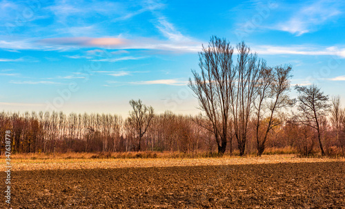 Konstfotografi An autumn landscape of a plowed field and barren trees in Friuli Italy