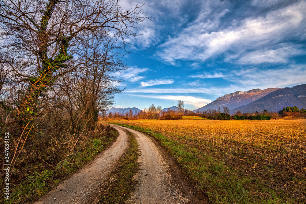 An autumn landscape with a country road next to a cut corn field in Friuli Italy An autumn landscape with a country road next to a cut corn field in Friuli Italy