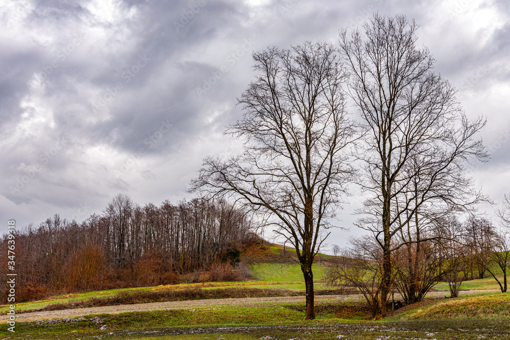 autumn cloudy landscape with trees in Friuli Italy autumn cloudy landscape with trees in Friuli Italy