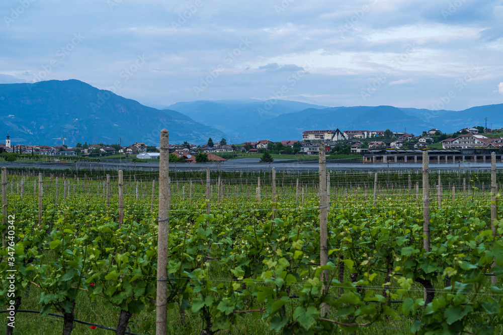 Φωτογραφία The municipality of Appiano near Bolzano in the Italian south of Tyrol