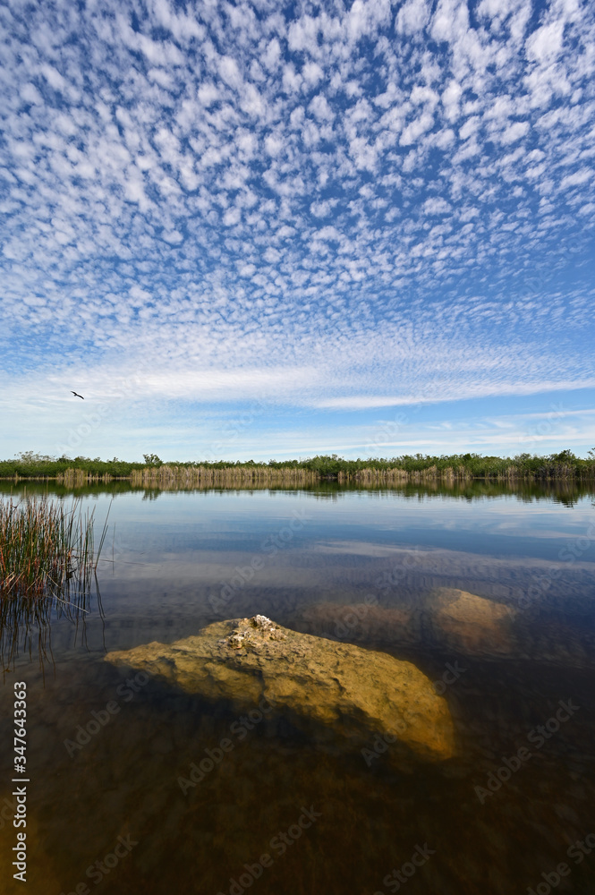 Beautiful summer cloudscape reflected on calm water of Nine Mile Pond in Everglades National Park, Florida with large exposed boulders in foreground.