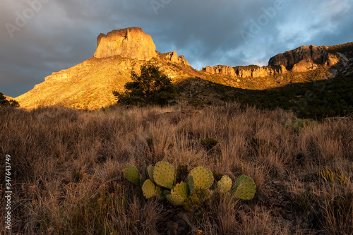 Casa Grande at sunset;  Big Bend NP;  Texas