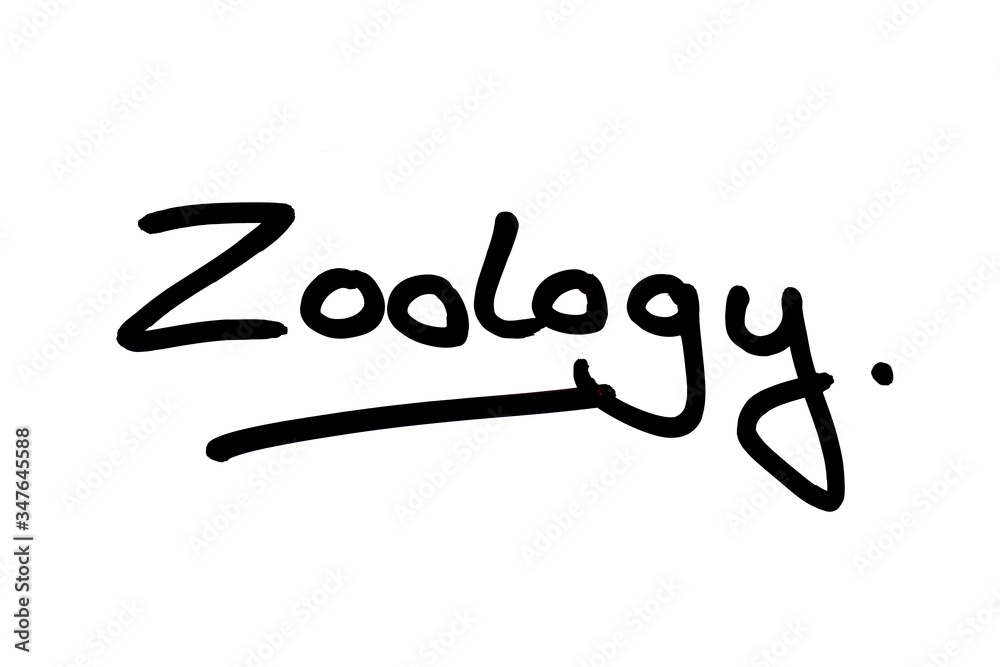 Zoology Zoology