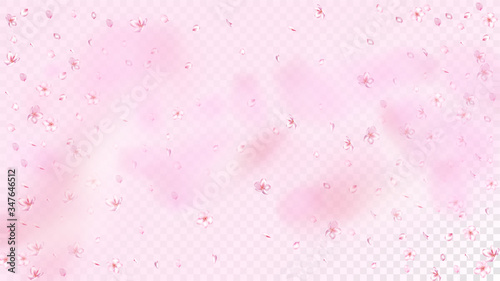 Nice Sakura Blossom Isolated Vector. Summer Blowing 3d Petals Wedding Paper. Japanese Funky Flowers Wallpaper. Valentine, Mother's Day Realistic Nice Sakura Blossom Isolated on Rose