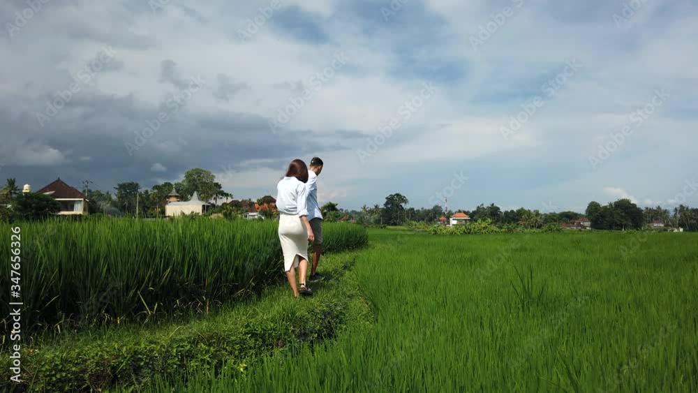 Beautiful family couple, happy husband and pregnant wife walking with holding hands in rice fields surrounded by palm trees, Ubud, Bali, Indonesia. Romantic love story. Sunny, rural landscape nature Beautiful family couple, happy husband and pregnant wife walking with holding hands in rice fields surrounded by palm trees, Ubud, Bali, Indonesia. Romantic love story. Sunny, rural landscape nature