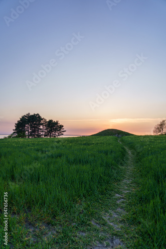 Beautiful sunset with a path in green grass and trees at Glumslovs backar in Glumslov, Sweden. photo