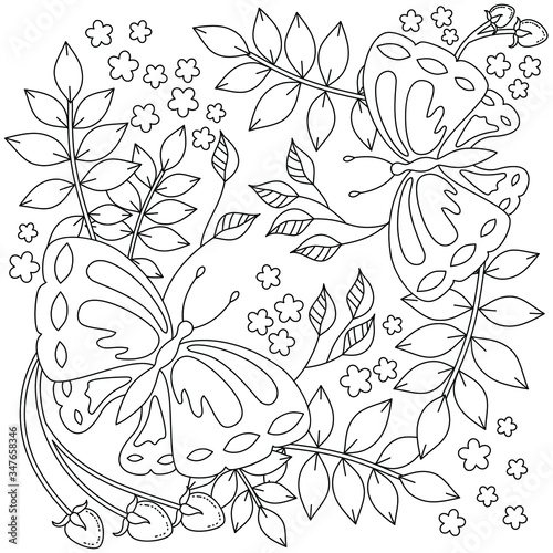 vector coloring book page for adult. stylized cartoon image  two butterfly with floral pattern in zentangle art-style.