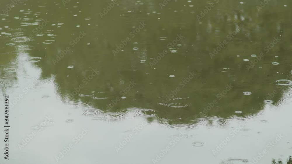 Rain Hitting The Surface Of A Pond Forming Ripples In Nara, Japan - Wide Shot Rain Hitting The Surface Of A Pond Forming Ripples In Nara, Japan - Wide Shot