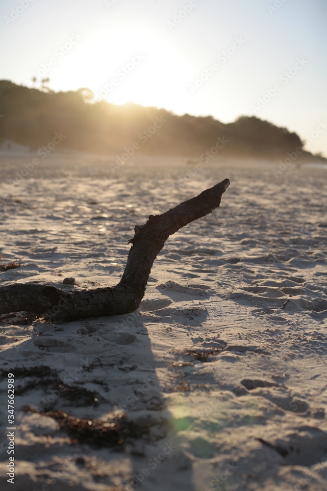Fototapeta premium Sand beach, Stradbroke Island beach , surf water, waves, rocks fish, dead fish, toad fish salt water, 