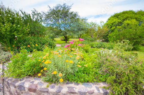 Cordoba Argentina flower garden and tropical plants photo
