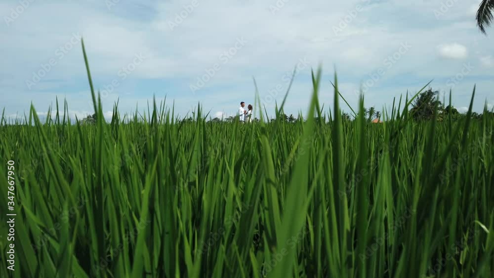 Romantic love story. Beautiful family couple, man and pregnant wife posing, holding hands kissing and looking into each others eyes in rice terraces, Bali, Indonesia. Romantic love story on nature Romantic love story. Beautiful family couple, man and pregnant wife posing, holding hands kissing and looking into each others eyes in rice terraces, Bali, Indonesia. Romantic love story on nature