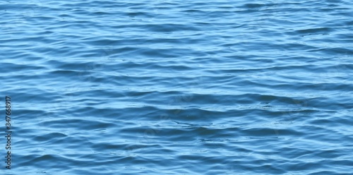 Light blue water surface with soft waves on Florida lake as a background 