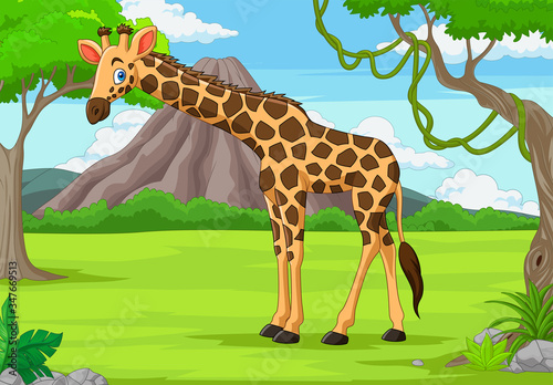 Cartoon giraffe in the jungle