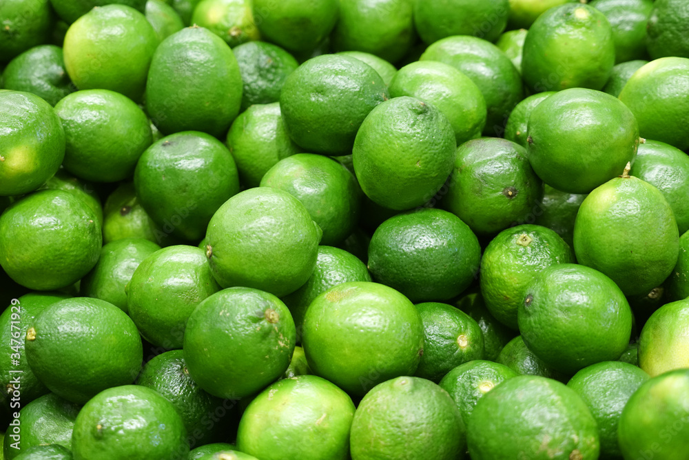 Fresh green lime pile in harvest season Fresh green lime pile in harvest season