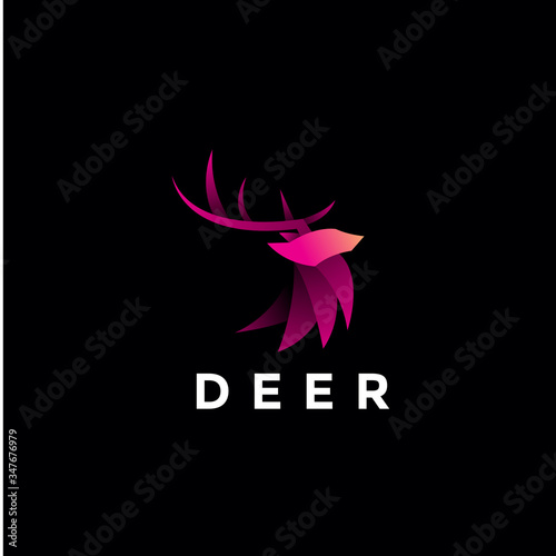 hearldic gryphon logo design vector