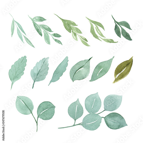 green leaves element