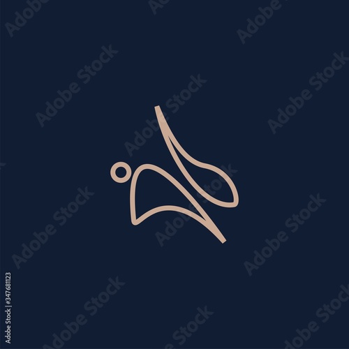 Premium rabbit logo design