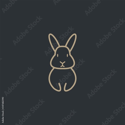 Premium rabbit logo design