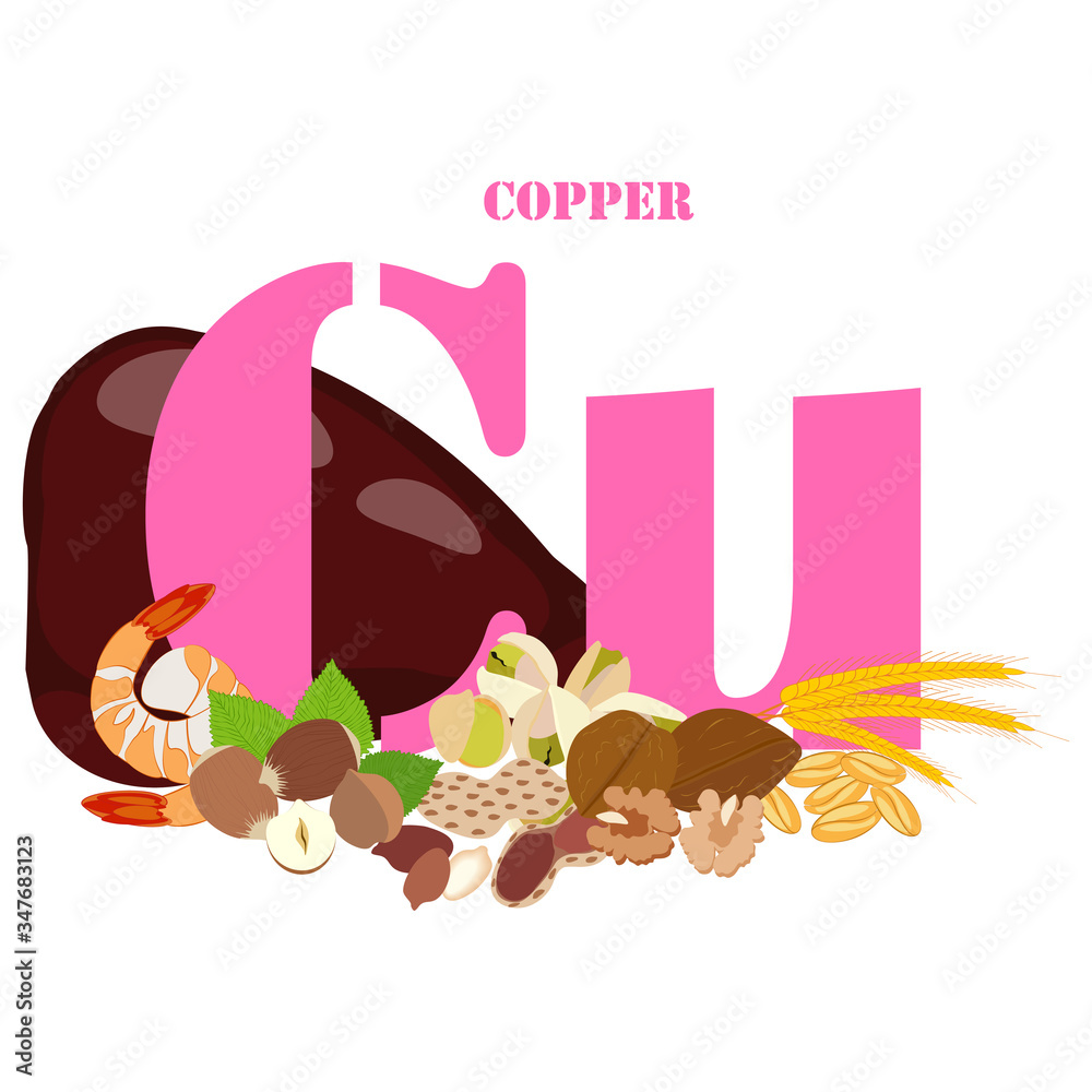 Copper healthy nutrient rich food vector illustration Copper healthy nutrient rich food vector illustration