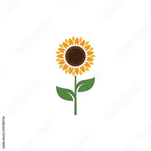 Sunflower vector design