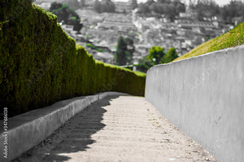 botanical garden and rose garden of Ooty Tamil Nadu  © H K Singh