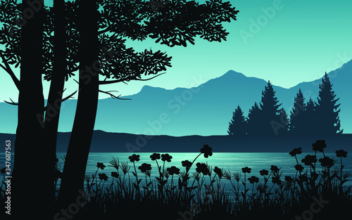 landscape with lake and trees