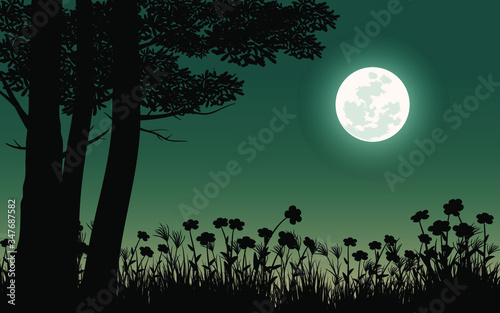 night background with full moon