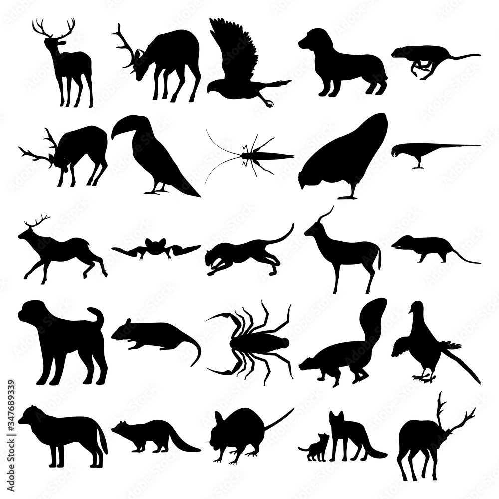 Fototapeta premium Set of 25 animals. Deer, Goshawk, Dachshund, Cheetah, Toucan, Grasshopper, Chicken, Parrots, Elk, Bat, Cheetah, Antelope, Opossum, Dog, Rat, Scorpion, Skunk, Pigeon, Arctic Wolf, Racoon, Rodents, Fox.