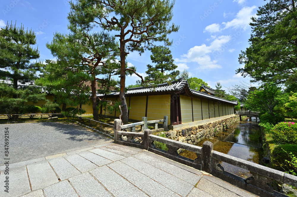 大覚寺の参道