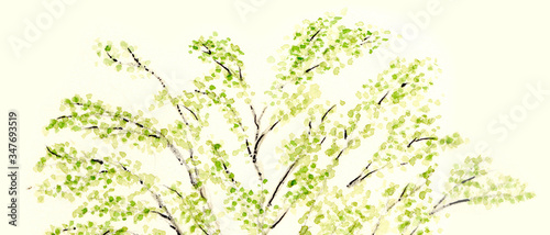 Wallpaper Mural 枝葉を広げる樹木の水彩画 Torontodigital.ca
