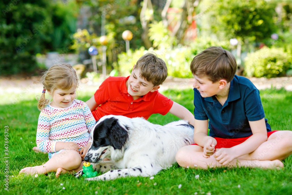 Two kids boys and little toddler girl playing with family dog in garden. Three children, adorable siblings having fun with dog. Happy family outdoors. Friendship between animal and kids Two kids boys and little toddler girl playing with family dog in garden. Three children, adorable siblings having fun with dog. Happy family outdoors. Friendship between animal and kids