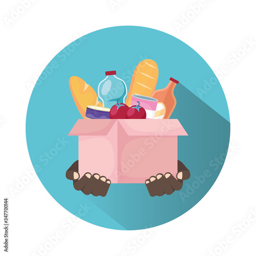 charity donation box with groceries