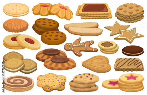 Biscuit vector cartoon set icon. Isolated cartoon set icon cookie.Vector illustration biscuit on white background.