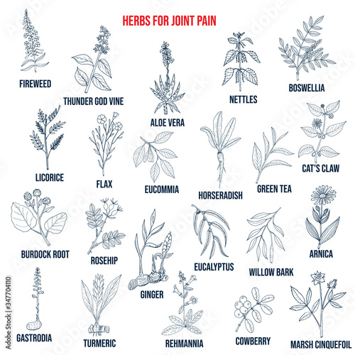 Best herbs for joint pain