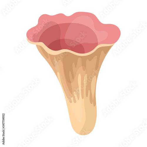 Poisonous mushroom vector icon.Cartoon vector icon isolated on white background poisonous mushroom.