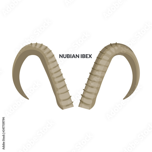 Horn nubian ibex vector icon.Cartoon vector icon isolated on white background horn nubian ibex.